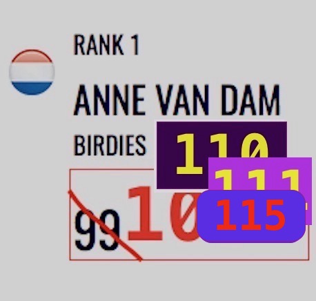 Anne van Dam